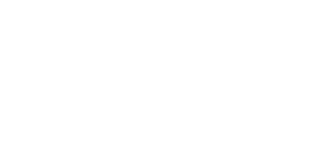 VOSTRA